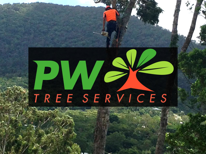 PW TREE SERVICES