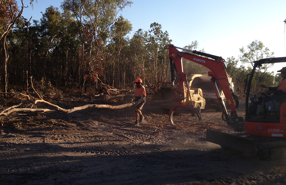 TREE SERVICES 13