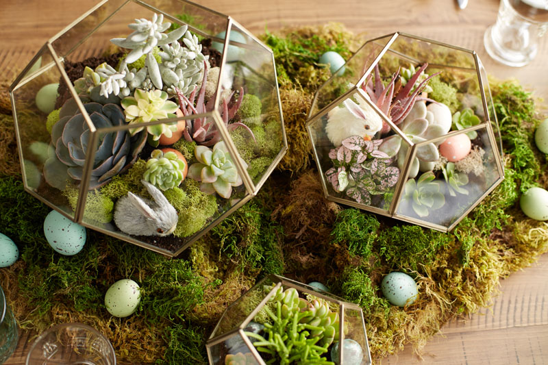 DIY Garden Projects for the Easter Long Weekend