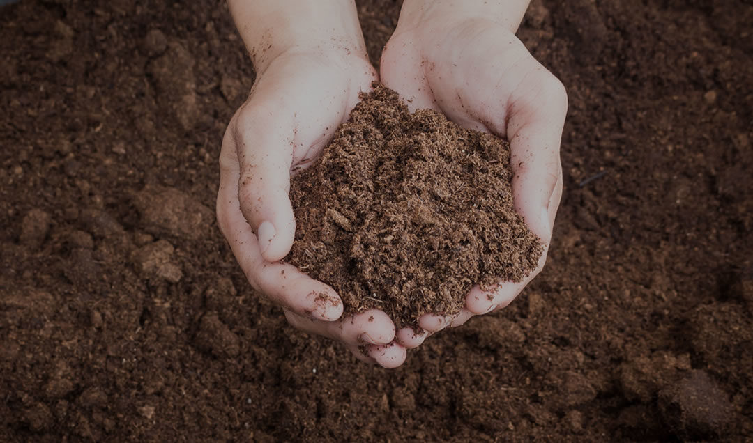 Compost Awareness Week