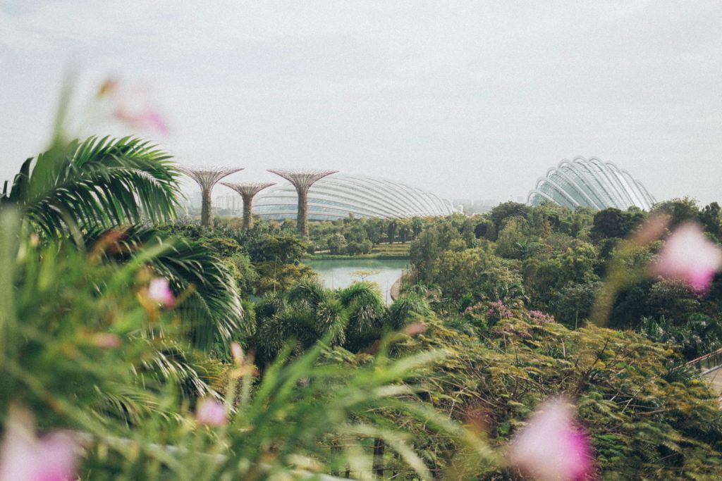 Magnificent gardens 