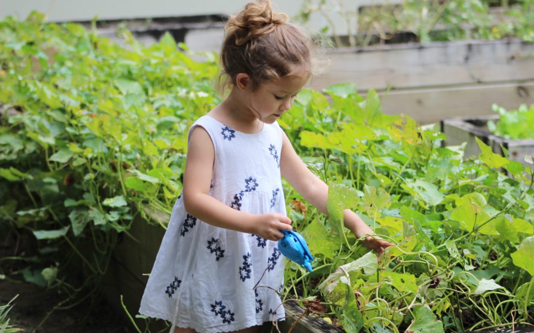 Did You Know Gardening Teaches Kids These 3 Things?