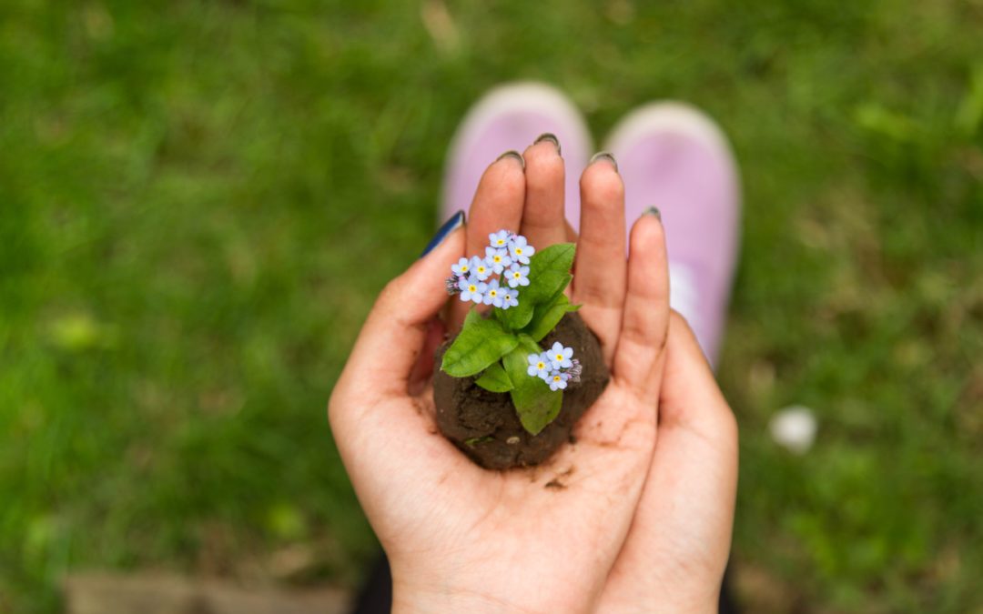 Therapeutic Gardening Benefits That Will Make You Want To Start Planting Today