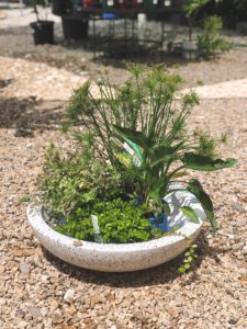 bog garden ideas