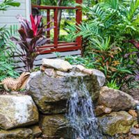 Water features and water falls by the landscaping team at Plants Whitunday in North Queensland