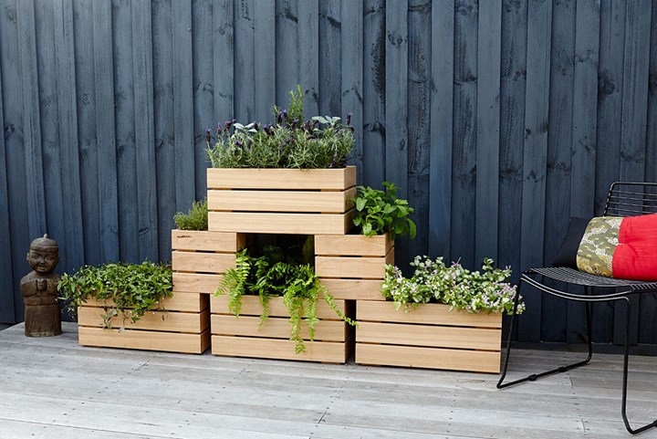 Stacked planter boxes for a vertical herb garden 

Plants Whitsunday North Queensland Garden Centre