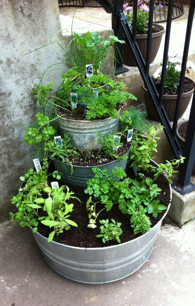 Stackable potted herb garden. North Queensland Garden Centre