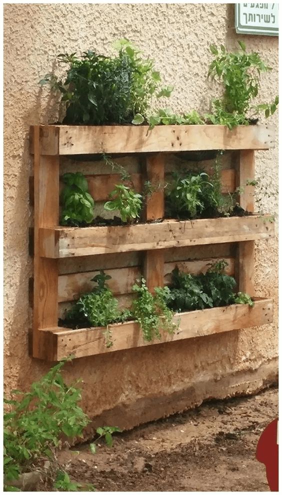 Pallet option for a vertical Herb Garden